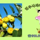 세중농장 이미지