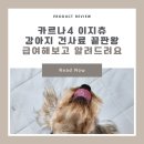 강아지 사료 순위 카르나4 이지츄 급여해봤어요
