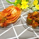 김치쇼핑몰추천 태서식품 오이소박이 배추김치 엄지척 ♪