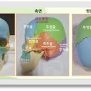 우리콩협동조합 이미지