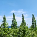 순천만 힐링 이미지