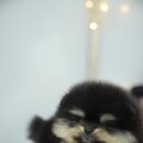 오픈주 하남스타필드점 이미지