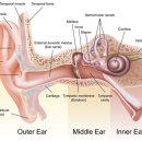 포낙보청기 마포센터 이미지