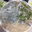 황금오징어 활어회센터2 이미지