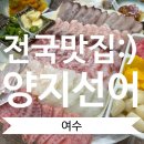 선어야술이야 이미지