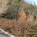 유달산둘레길 | 유달산 둘레길 목포 여행 코스 추천 가족과함께 목포 가볼만한곳