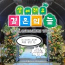 홀리시티 | [결혼합니다] EP.03 아시아드시티웨딩홀 계약후기 │ 플래너 없이 워크인 예약 │ 와! 돈쓰기 쉽다!