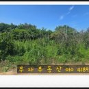여의동농장 이미지