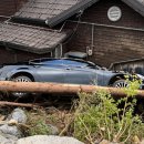 가평 폭우로 고립 됐다는 서효림 이미지