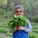 기명농장 이미지