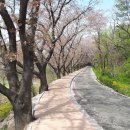 충효천길둘레 이미지