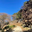 대구 등산 비슬산 등산 코스 도성암 주차장 최단 코스 등산 후기!!
