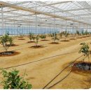 진천군농업기술센터 이미지