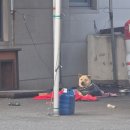 부산기장실베네집 | 벌써 지나가버린 26년 1월을 마무리하는 숭규