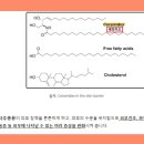 청담라인약국 이미지