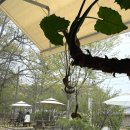 마실 수(SOO) 이미지