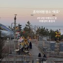 EG투어버스 G코스 | [묵호] 동해 혼자여행 1박 2일 여행코스 • 여행경비 총정리