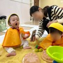 장유 롯데마트 가을학기 토리토리 오감노리 후기 3-3(9~12주차)