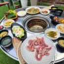 낭만꼼장어