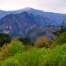 천사의 선물 이미지