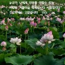 ♡ 서양 속담에 "흐르는 시냇물에서 돌들을 치워버리면 그 냇물은 노래를 이미지