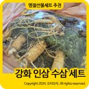 명절선물세트 추천 강화인삼센터 수삼 인삼 홍삼 차이, 효능, 먹는방법