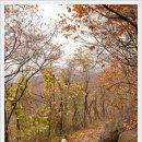 회원산장