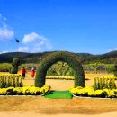 금호강 하중도 금호꽃섬 ( 대구 정원박람회 ) 이미지