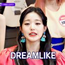 드림라이크 이미지
