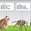 하이엔드, 꿈과 욕망과 돈 &#39;판타지 3중주&#39;