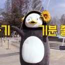 모던도시락 이미지