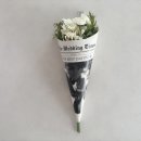 그린핑크 이미지