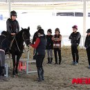 함안 승마장 이미지