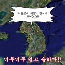 포렛 이미지