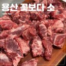 꽃보다소 이미지