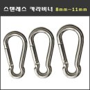 비나