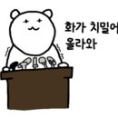 디렉토
