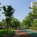[주간일기] 220711 월 ~ 220717 일, 잠시 멈춤