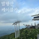 델코종합카프라자 | 강원도 모나용평 부대시설 총정리 | 꼬마기차·물놀이보트·발왕산 케이블카 아이와 여행 후기