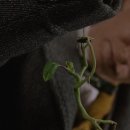 신비한 돈의 세계 이미지