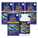 에버그린 이미지