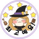 위치스컬쳐 이미지