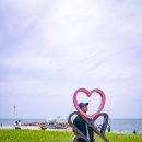 포리네 민박 이미지