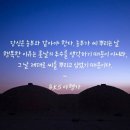 헤어살롱 지숙스럽다 이미지