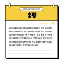 세화여자중학교 이미지