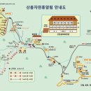 산음자연휴양림 이미지