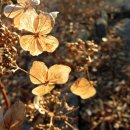 사진작가 되기 프로젝트 이미지