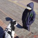 오리사냥 이미지