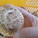 입장농협 산지유통센터 이미지