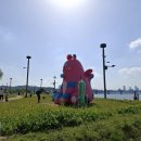 축제노래연습장 이미지